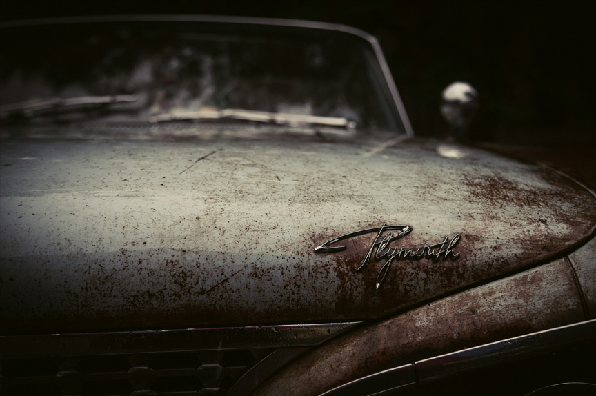 Close-up of a rusted hood of a car, with the logo 